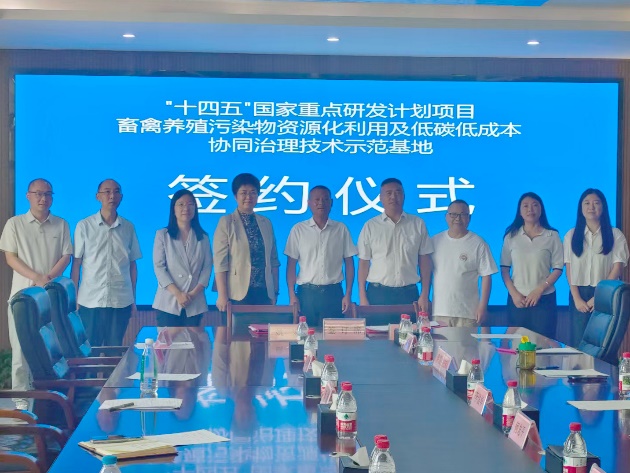 成人直播